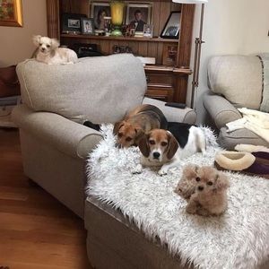 Meet your Posher, Delmore